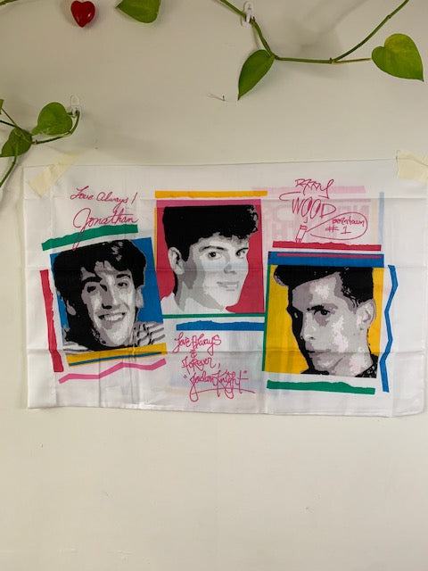 Limited Edition New Kids on the Block Sheet and Pillow Set