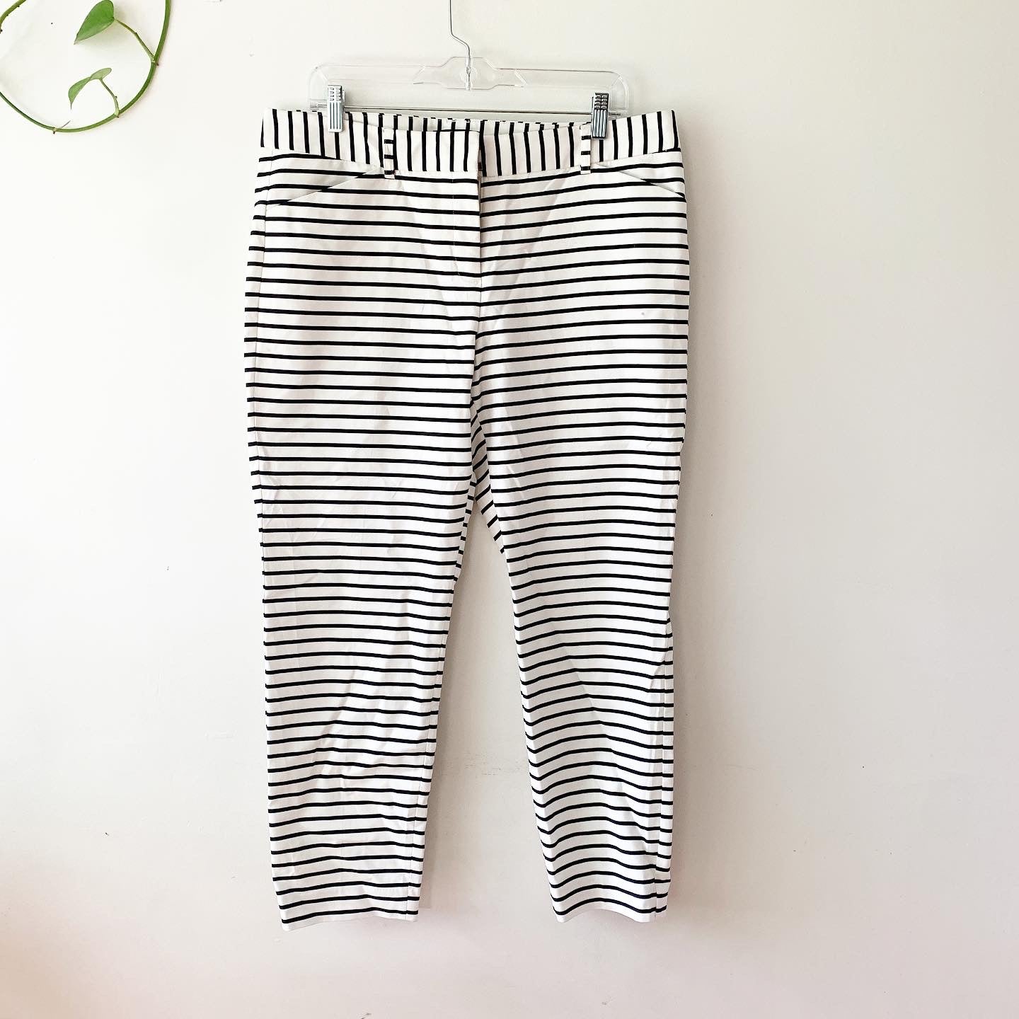 Express Black / White Striped Editor Cropped Pants 12